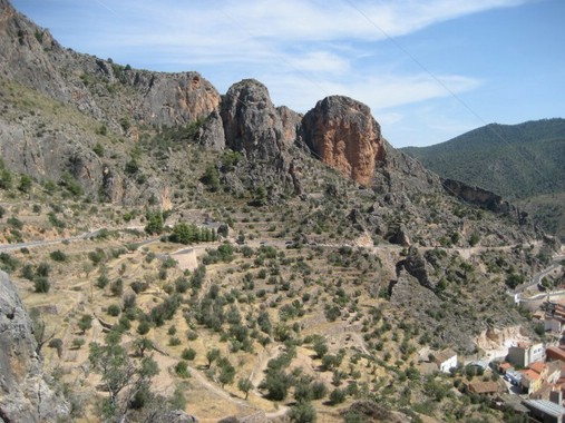 2008-003-004.jpg