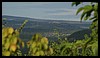 DSC00025.JPG