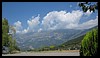 IMG_1558.jpg