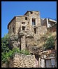 IMG_1450.jpg