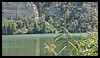 DSC00054.JPG